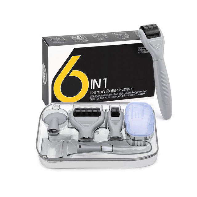 High Quality Microneedle Dermaroller 1200 Micro Needles Skincare Tool Facial Derma Roller Kit 6 in 1 for Acne Scars Remove (set)